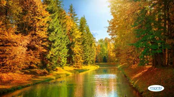 5 eye-catching autumn hiking spots in Hungary