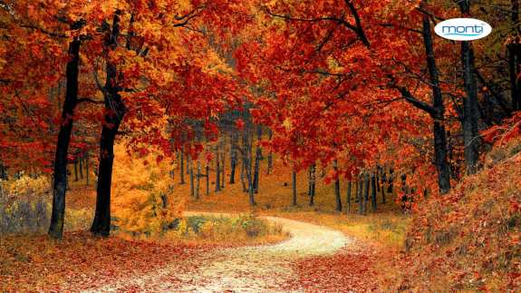 How to prepare yourself physically and mentally for autumn?