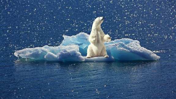 World Polar Bear Day - February 27